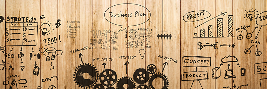 Feasibility Studies and Business Plans Feasibility Studies and Business Plans